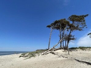 อพาร์ทเมนท์ | ชายหาด