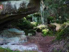 A forested area with a dirt path, rocks, and moss-covered trees. - Koferl Modern Retreat (Fichtelberg)