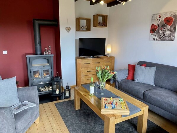 A cozy living room with a fireplace, a sofa, a coffee table, and a television. - Attractive Apartment in Diemelsee (Diemelsee)