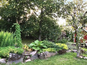 A garden with various plants, a rock formation, and a tree.