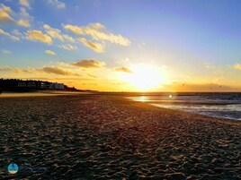 1 habitación y muebles diferentes 