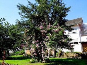 Exterior - Apartment 2 Mainblick Brigitte (Lohr am Main)