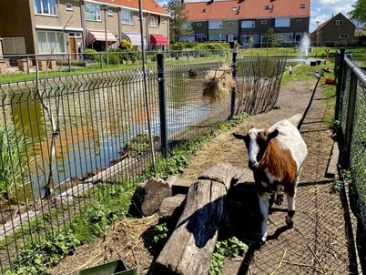 Holiday Apartment Het Zeepaardje