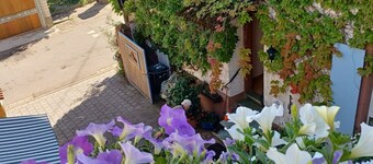 奧伯羅特威爾莫內假日公寓