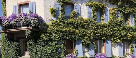 Apartment | Exterior