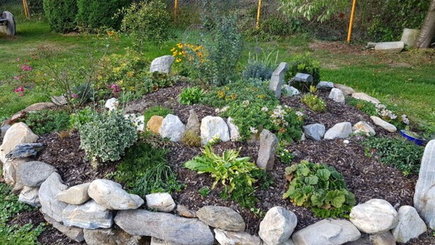 Un jardin bordé de pierres, avec différentes plantes et une clôture en arrière-plan.