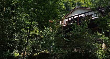 Chalet Vogelzang in the Ardennes