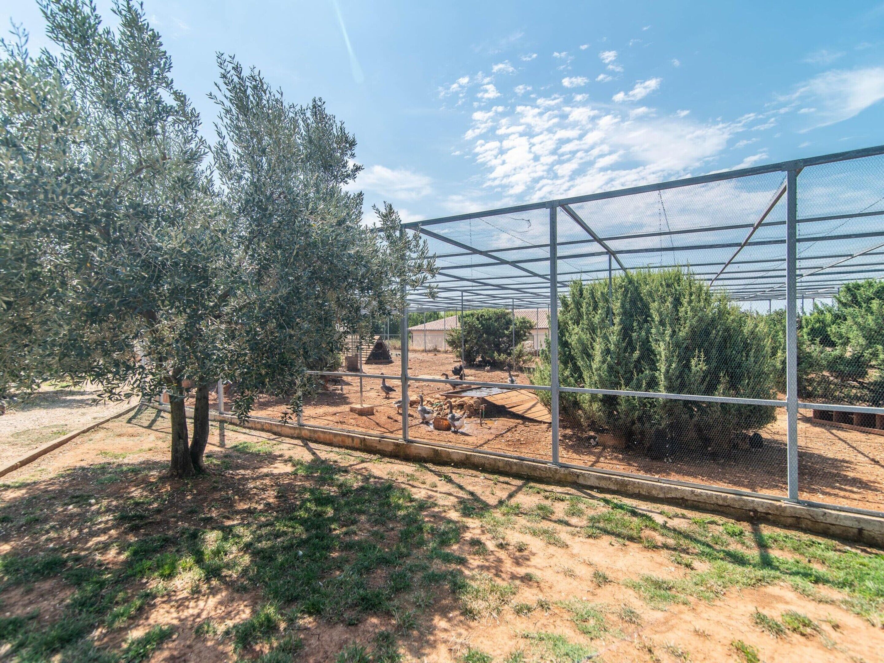 A greenhouse with metal frames and mesh covering, surrounded by trees and shrubs.