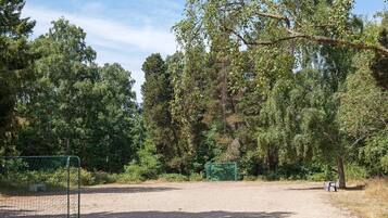 A fenced sports field with a soccer goal, surrounded by dense trees and a clear sky.