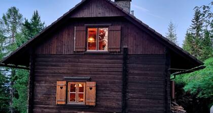 Alpine Hut in Murau Near Ski Slope