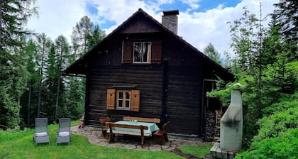 Alpine Hut in Murau Near Ski Slope