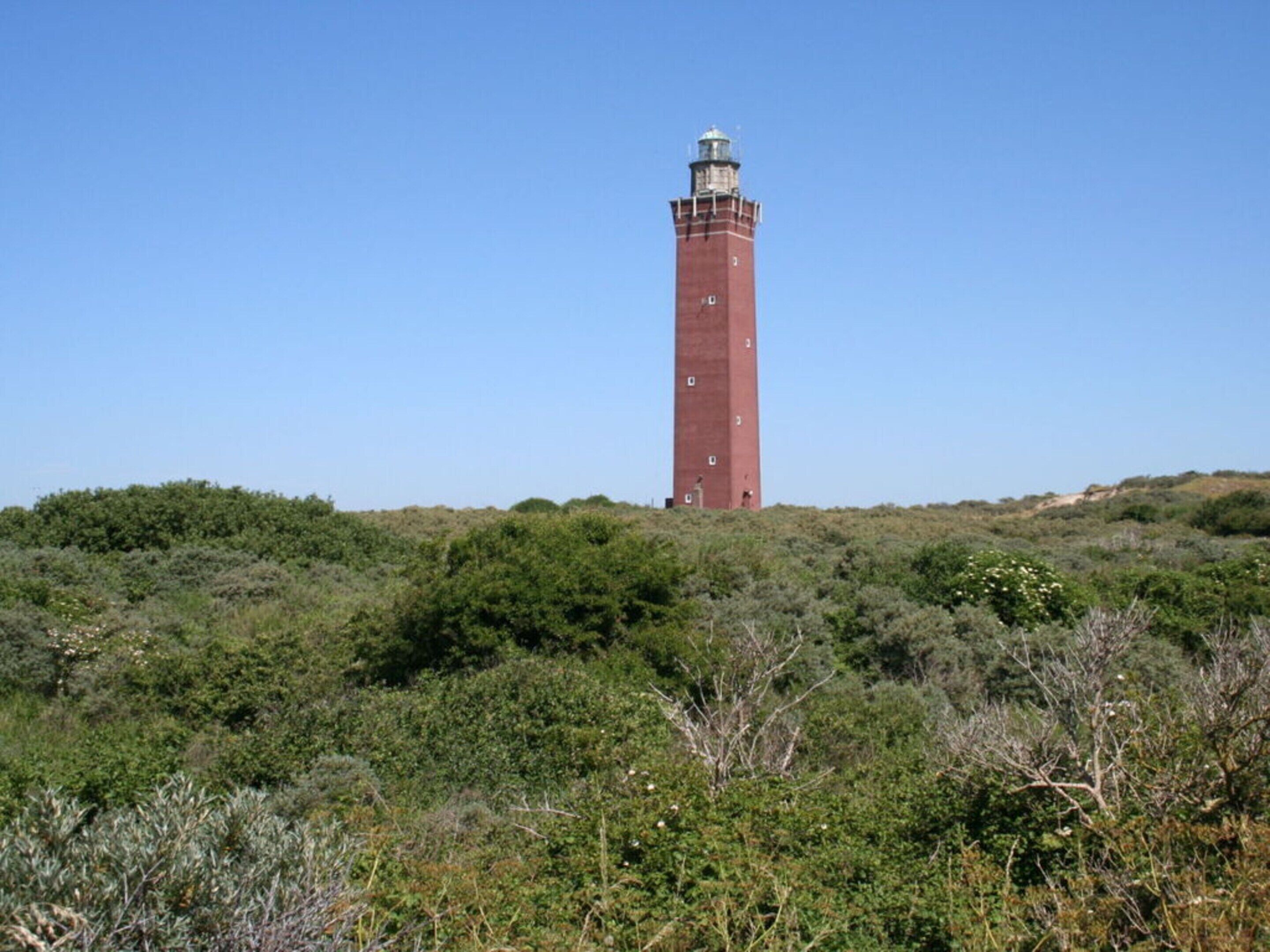 Un far alt i vermell damunt d'un turó, envoltat de dens arbustos verds.
