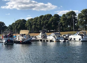 Tent | Uitzicht vanuit accommodatie