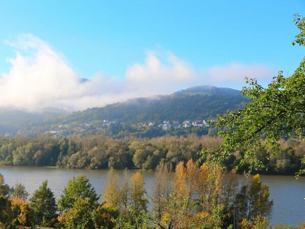 View from property - Holiday Apartment Schlossberg (Lorch)