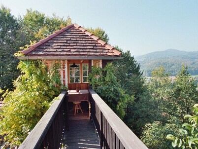 De Holler - Dakappartement met Toren