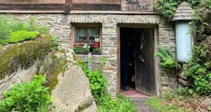 De Holler - Dakappartement met Toren