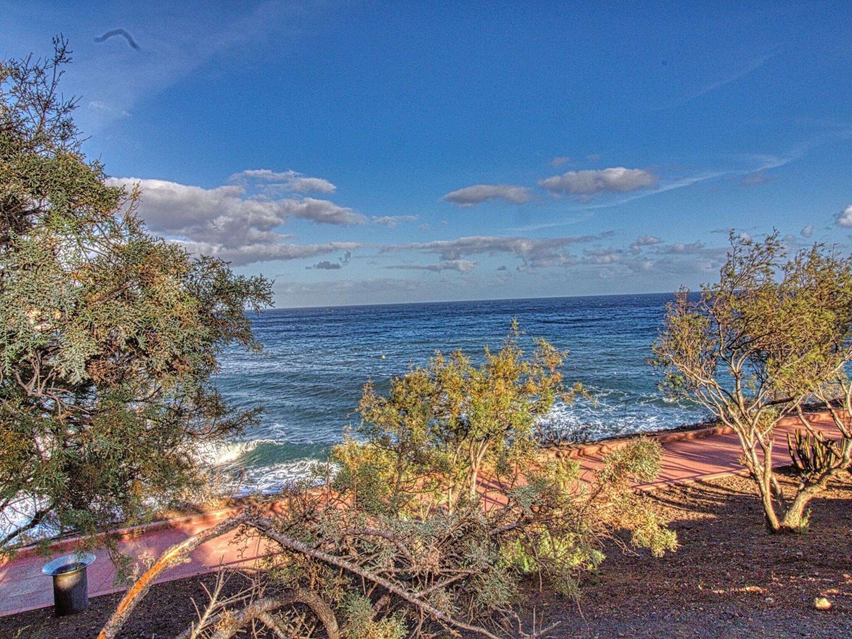A coastal view with a clear sky, ocean waves, and a paved walkway leading to the sea.