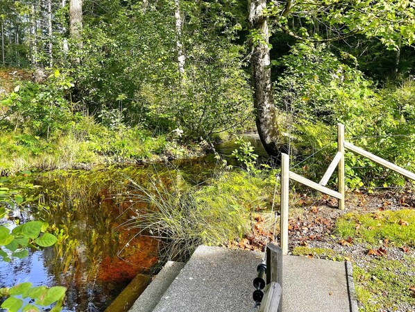 A wooden dock extending into a calm body of water surrounded by dense greenery. - 6 Person Holiday Home in Bralanda (Bralanda)