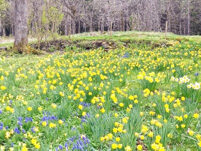 6 Person Holiday Home in Bralanda-by Traum