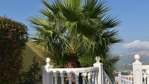 A white balustrade with a palm tree in the center, a stone wall to the left, and a view of a mountain range in the background. - en la Montana Comfortable Holiday Residence (Pedreguer)