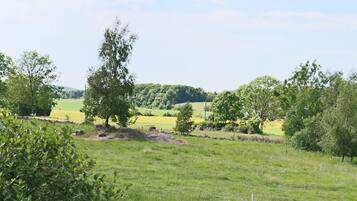 A rural landscape with a grassy field, trees, and a stone wall.