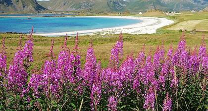 5 Person Holiday Home in Melbu-by Traum