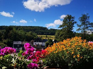 Udendørsområde