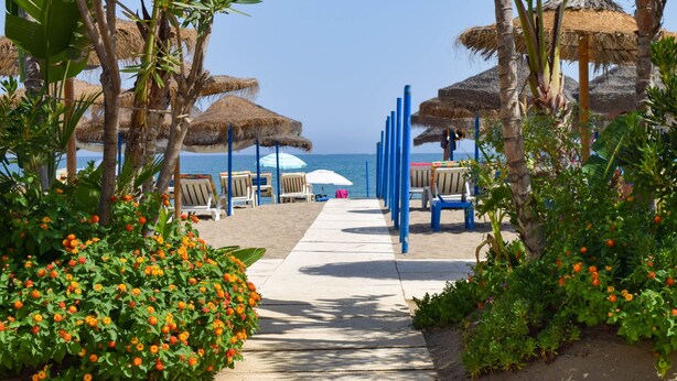 A pathway leading to beach umbrellas and lounge chairs, surrounded by tropical plants and palm trees.