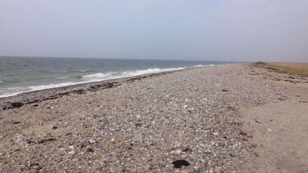 A pebbled beach with a sandy dune in the background. - Holiday Apartment Inselstern (Fehmarn)