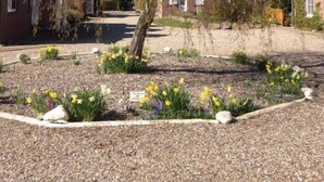 A residential street with houses, a tree, and a flower bed with daffodils. - Holiday Apartment Inselstern (Fehmarn)