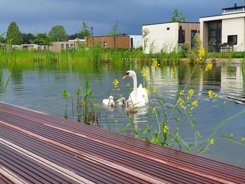 Holiday Home With Motorboat