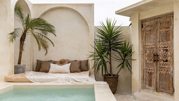 Une chambre avec un lit, une petite piscine et une grande plante en pot.