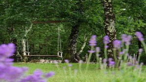Villa | View from property - Modern Villa With Private Hydromassage Pool (Vodnjan)