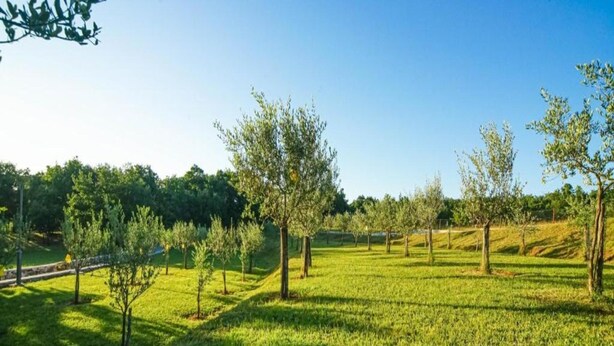 A grassy field with young trees and a clear blue sky. - Modern Villa With Private Hydromassage Pool (Vodnjan)