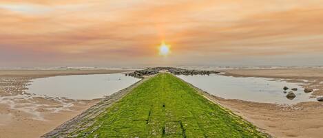 Căn hộ | Quang cảnh nhìn từ nơi lưu trú