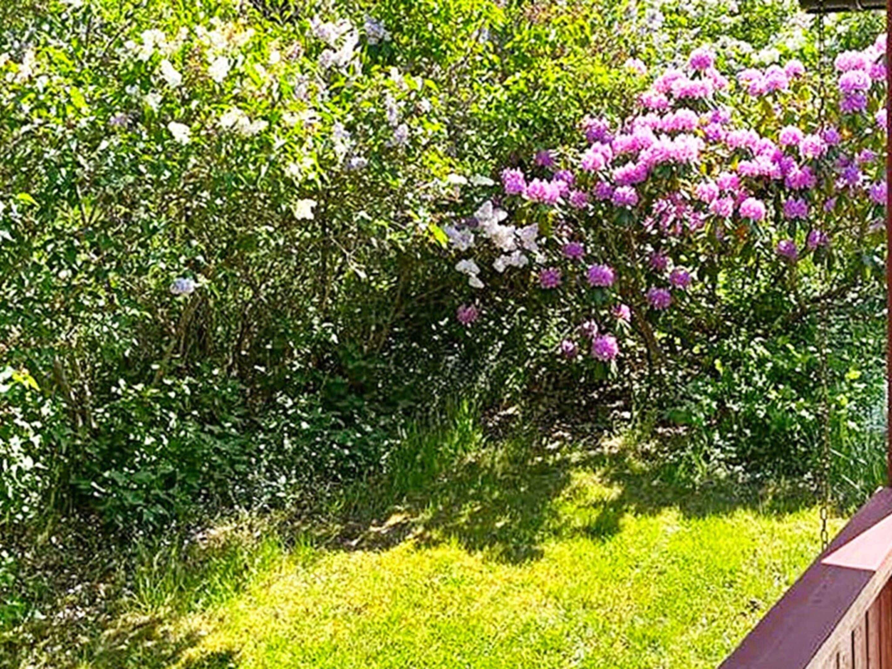 A garden with dense foliage and flowering shrubs.