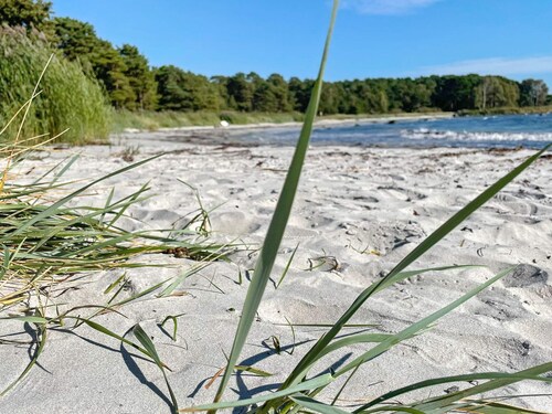 4 Star Holiday Home in Solvesborg-by Traum