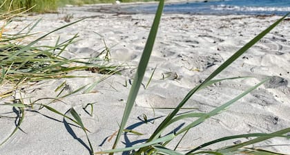 4 Star Holiday Home in Solvesborg-by Traum