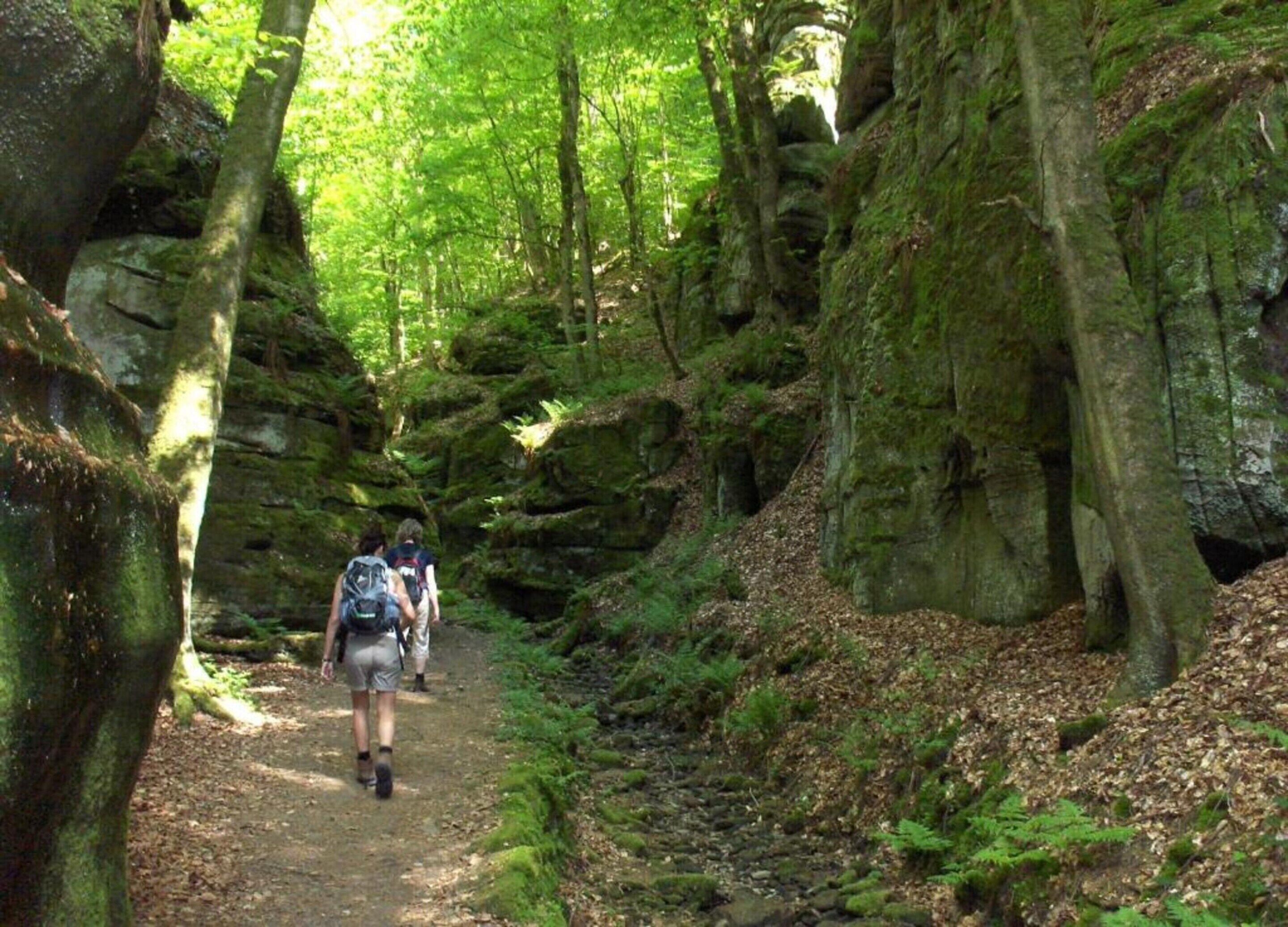 Vue depuis l’hébergement