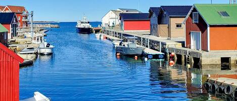 House | View from property