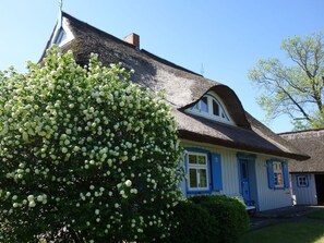 Exterior - Captain House South Cats 8 (Wieck auf dem Darss)