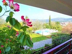 Casa | Piscina | Una piscina al aire libre