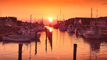 A marina with boats docked, a sunset in the background, and houses along the waterfront.
