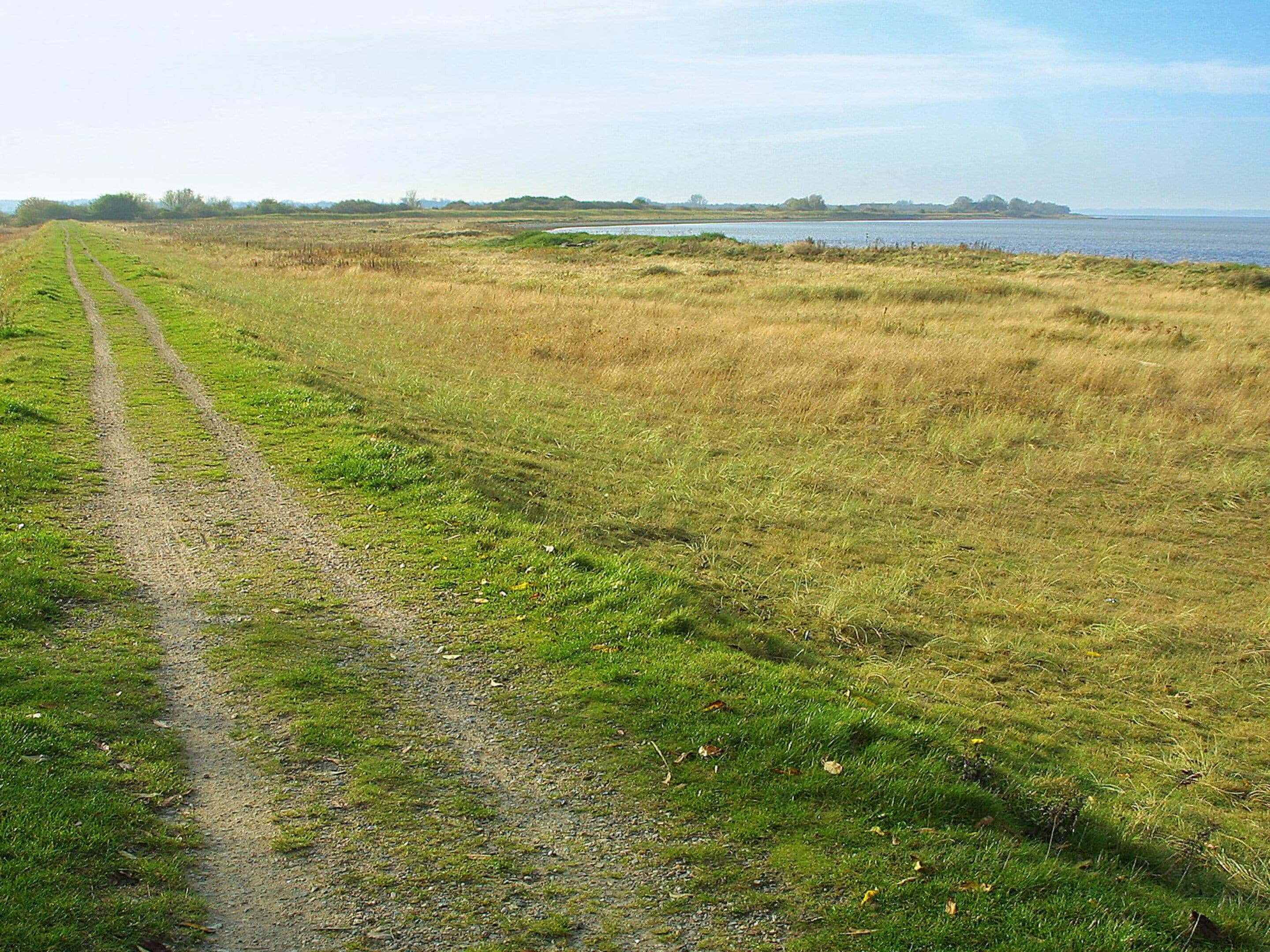 Utsikt mot vann