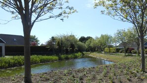 A serene riverside garden with a small pond, surrounded by lush greenery and trees. - Holiday Apartment Mosselbank 95 (Ouddorp)