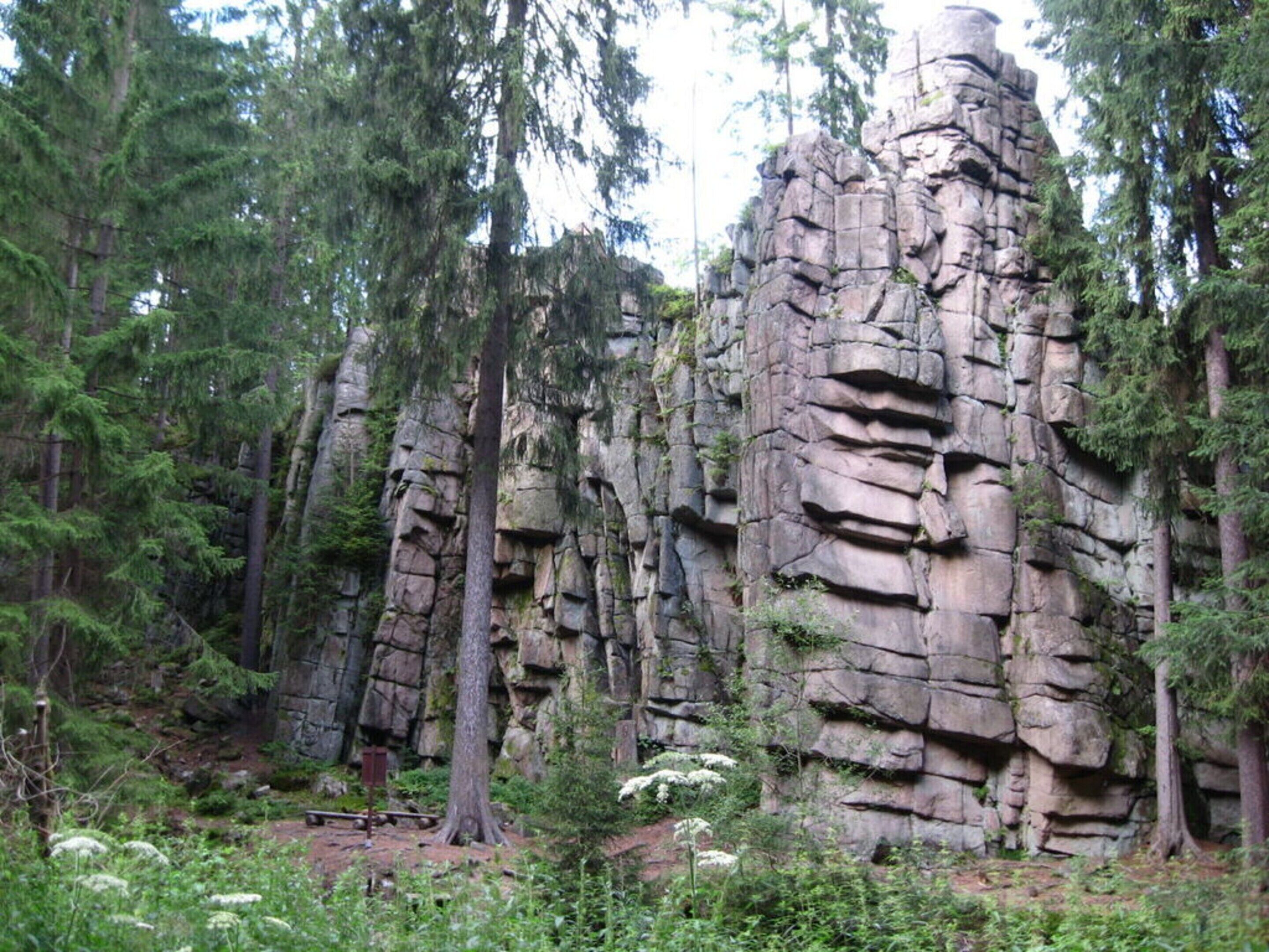 A natural rock formation surrounded by dense forest.