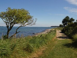 Beach - Holiday Apartment Domstag (Kronsgaard)