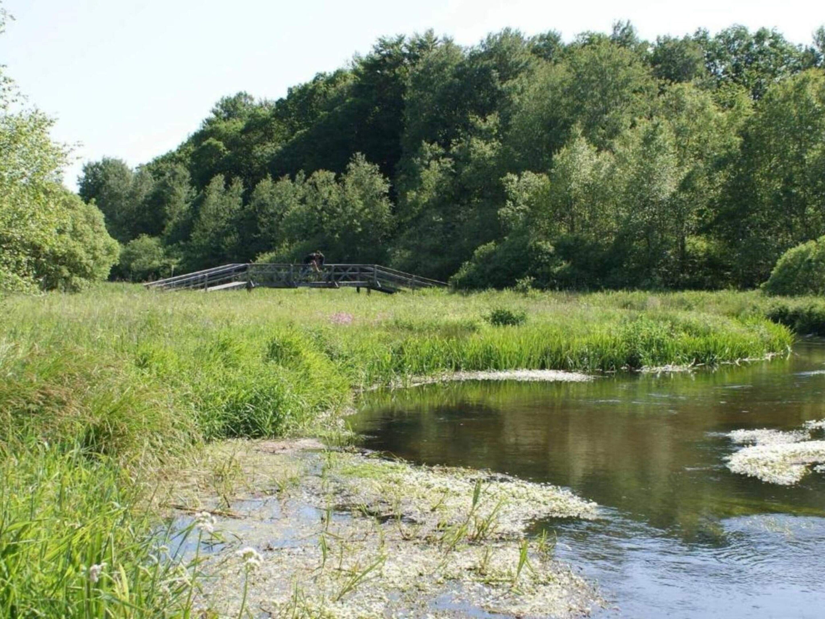 Vue sur l’eau