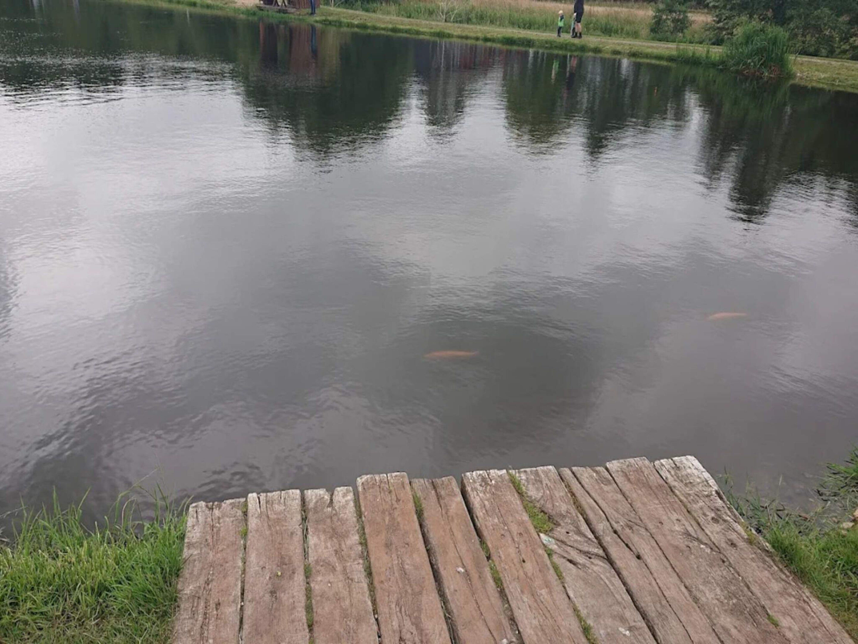 A calm lake with a wooden dock extending into the water.