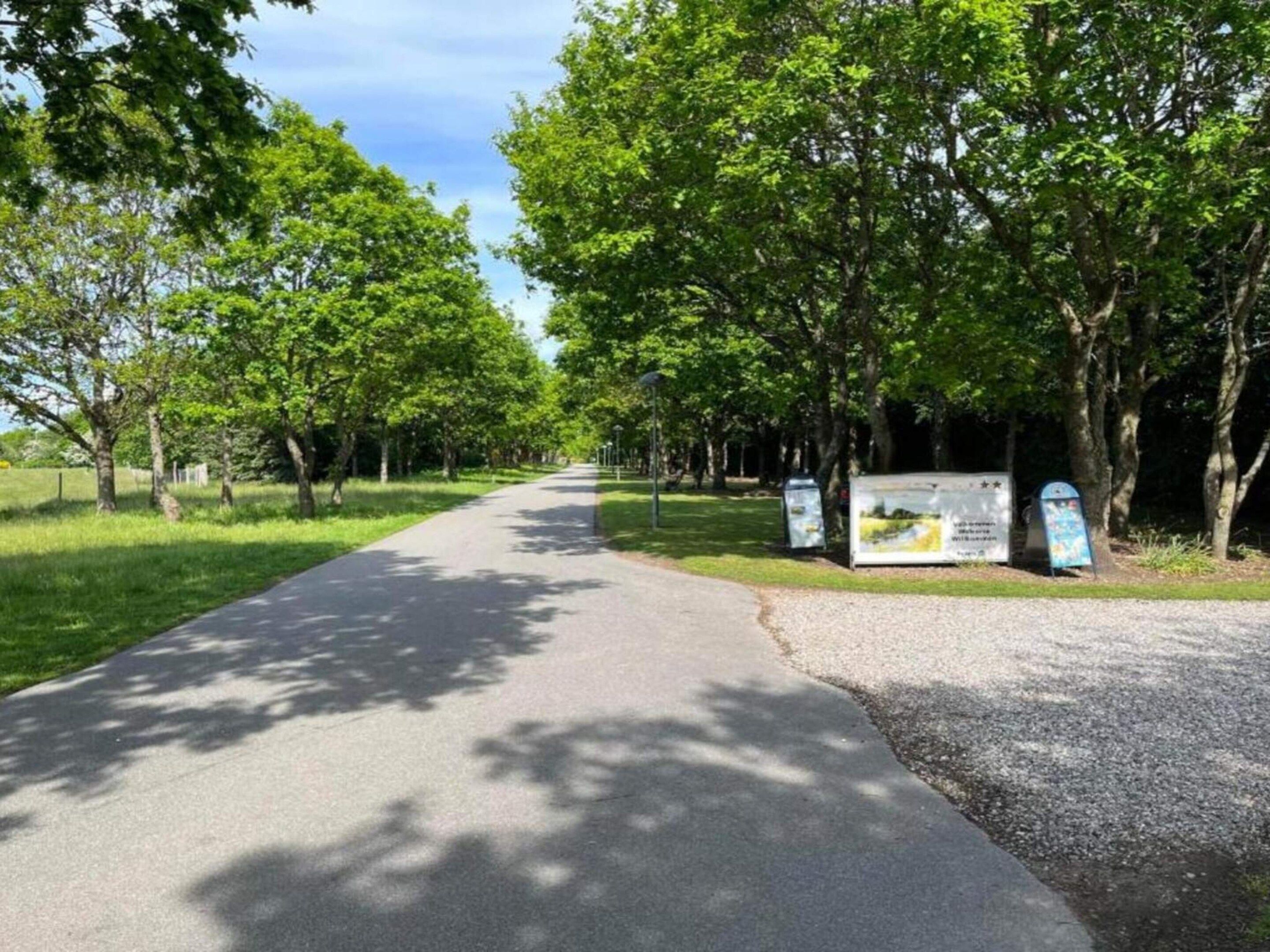 A paved pathway flanked by trees, with informational signs and a mailbox.
